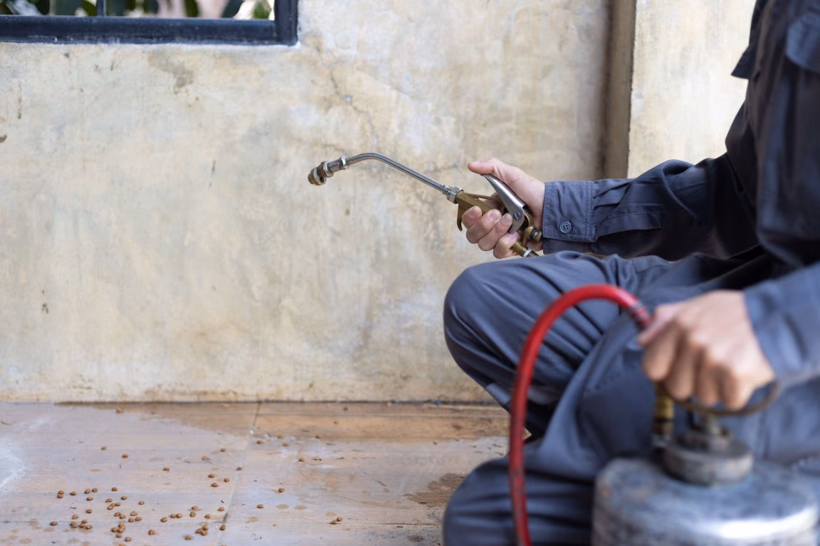 Pest Control & Preventive Pest Management